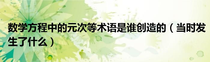 数学方程中的元次等术语是谁创造的（当时发生了什么）