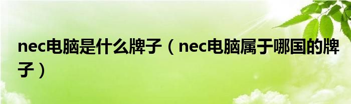 nec电脑是什么牌子（nec电脑属于哪国的牌子）