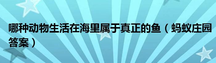 哪种动物生活在海里属于真正的鱼（蚂蚁庄园答案）