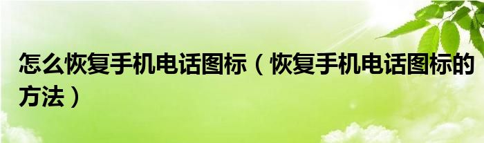 怎么恢复手机电话图标（恢复手机电话图标的方法）