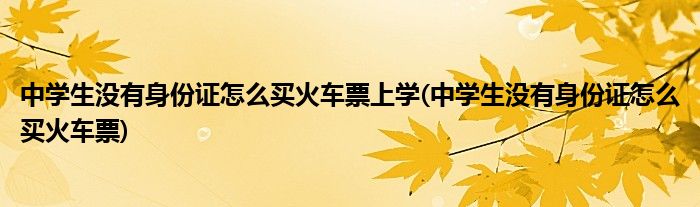 中学生没有身份证怎么买火车票上学(中学生没有身份证怎么买火车票)