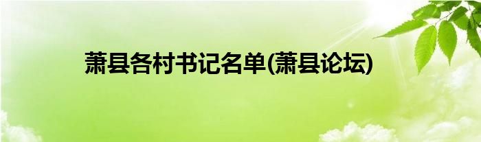 萧县各村书记名单(萧县论坛)