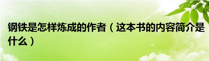 钢铁是怎样炼成的作者（这本书的内容简介是什么）