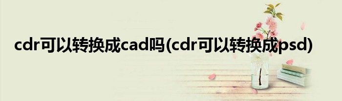 cdr可以转换成cad吗(cdr可以转换成psd)