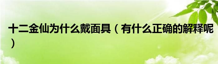 十二金仙为什么戴面具（有什么正确的解释呢）