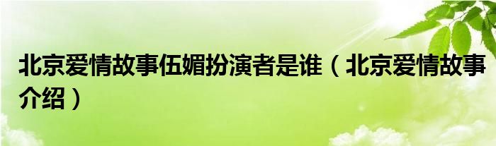 北京爱情故事伍媚扮演者是谁（北京爱情故事介绍）