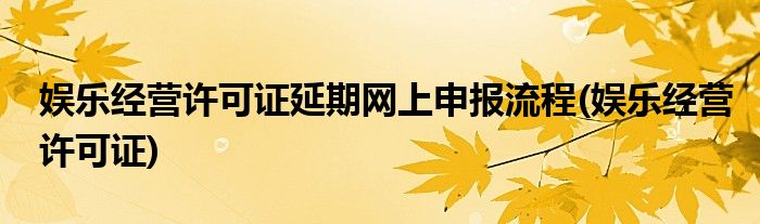 娱乐经营许可证延期网上申报流程(娱乐经营许可证)