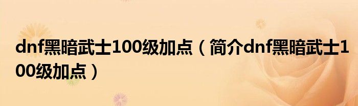 dnf黑暗武士100级加点（简介dnf黑暗武士100级加点）