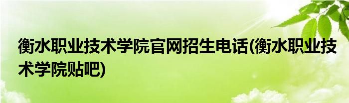 衡水职业技术学院官网招生电话(衡水职业技术学院贴吧)