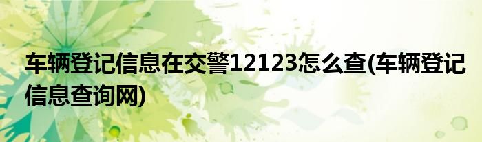 车辆登记信息在交警12123怎么查(车辆登记信息查询网)