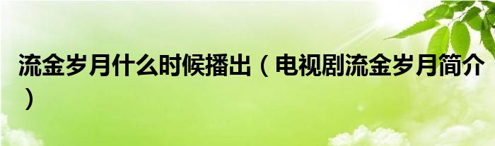 流金岁月什么时候播出（电视剧流金岁月简介）