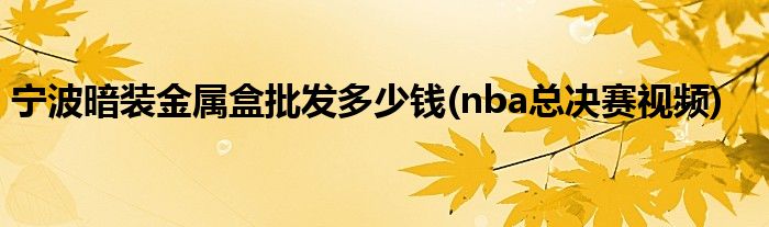 宁波暗装金属盒批发多少钱(nba总决赛视频)