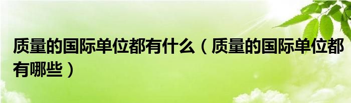 质量的国际单位都有什么（质量的国际单位都有哪些）