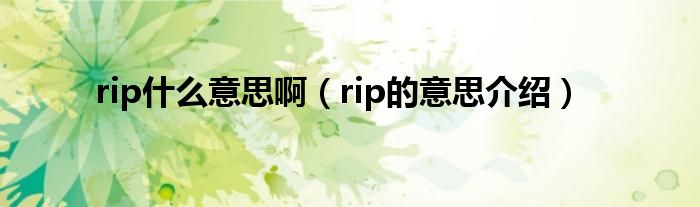 rip什么意思啊（rip的意思介绍）