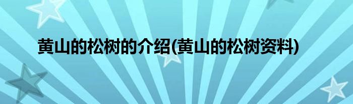 黄山的松树的介绍(黄山的松树资料)