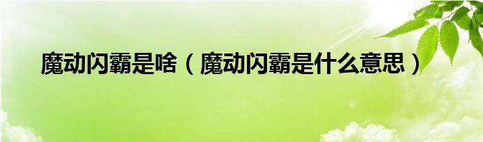 魔动闪霸是啥（魔动闪霸是什么意思）