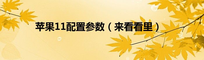 苹果11配置参数（来看看里）