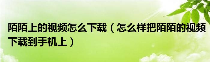 陌陌上的视频怎么下载（怎么样把陌陌的视频下载到手机上）