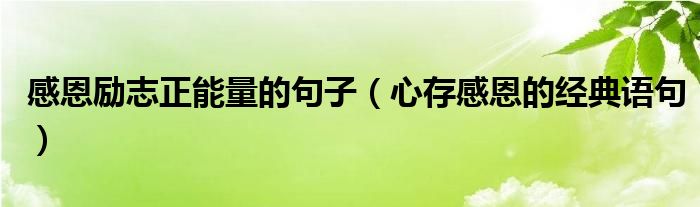 感恩励志正能量的句子（心存感恩的经典语句）