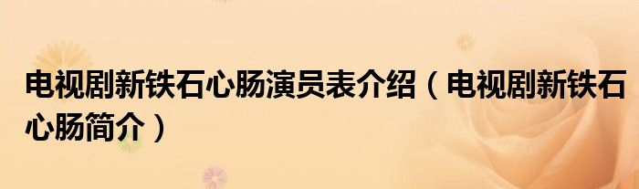 电视剧新铁石心肠演员表介绍（电视剧新铁石心肠简介）