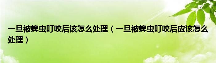 一旦被蜱虫叮咬后该怎么处理（一旦被蜱虫叮咬后应该怎么处理）