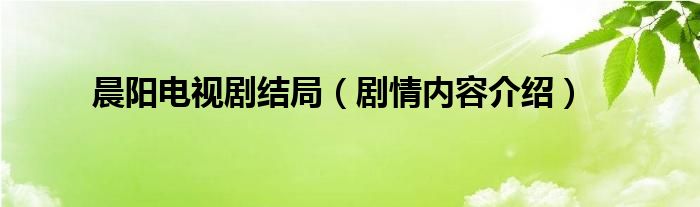 晨阳电视剧结局（剧情内容介绍）