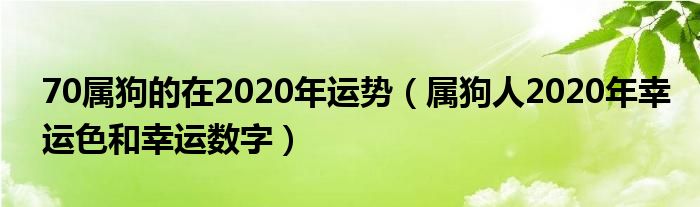 70属狗的在2020年运势（属狗人2020年幸运色和幸运数字）