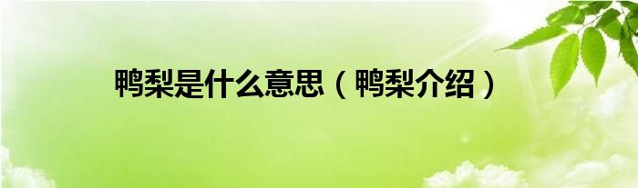 鸭梨是什么意思（鸭梨介绍）