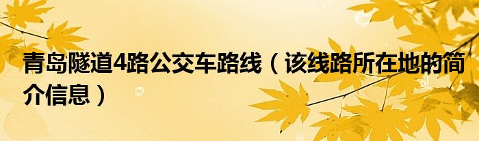 青岛隧道4路公交车路线（该线路所在地的简介信息）