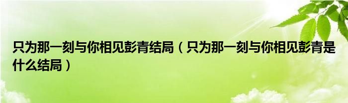 只为那一刻与你相见彭青结局（只为那一刻与你相见彭青是什么结局）