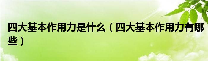 四大基本作用力是什么（四大基本作用力有哪些）