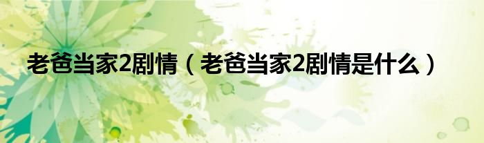 老爸当家2剧情（老爸当家2剧情是什么）