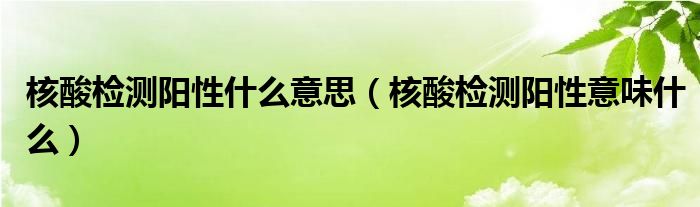 核酸检测阳性什么意思（核酸检测阳性意味什么）