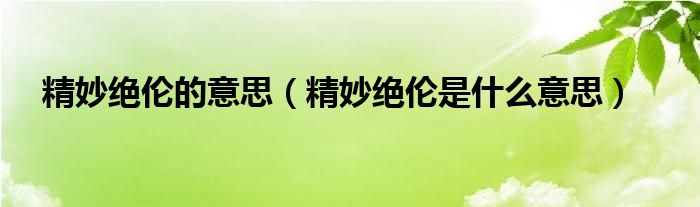 精妙绝伦的意思（精妙绝伦是什么意思）