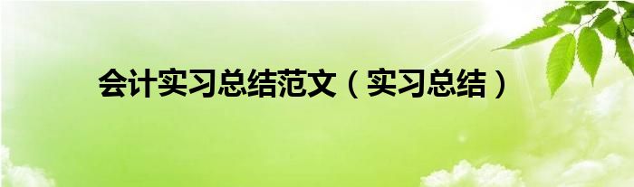 会计实习总结范文（实习总结）