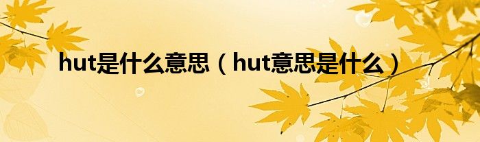 hut是什么意思（hut意思是什么）