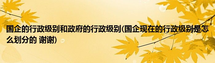 国企的行政级别和政府的行政级别(国企现在的行政级别是怎么划分的 谢谢)