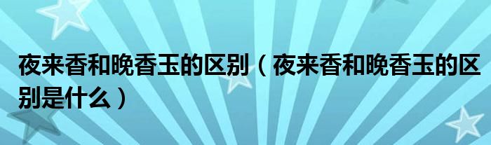 夜来香和晚香玉的区别（夜来香和晚香玉的区别是什么）