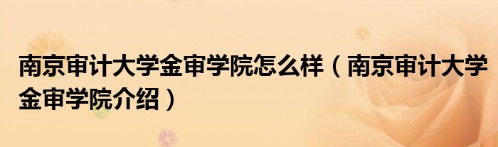 南京审计大学金审学院怎么样（南京审计大学金审学院介绍）