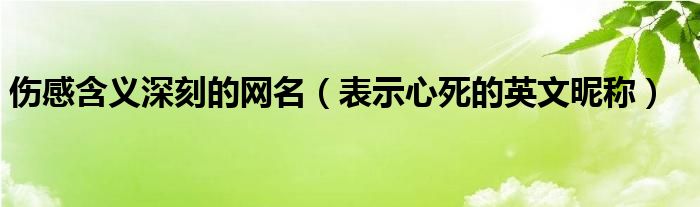 伤感含义深刻的网名（表示心死的英文昵称）