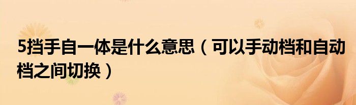 5挡手自一体是什么意思（可以手动档和自动档之间切换）