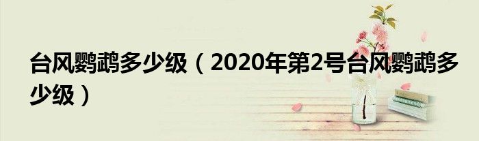 台风鹦鹉多少级（2020年第2号台风鹦鹉多少级）