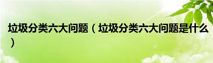 垃圾分类六大问题（垃圾分类六大问题是什么）