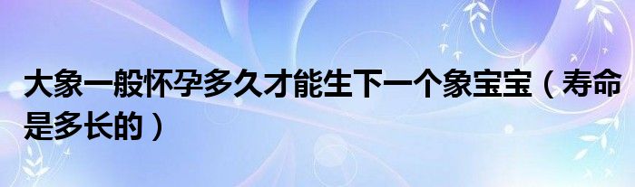 大象一般怀孕多久才能生下一个象宝宝（寿命是多长的）