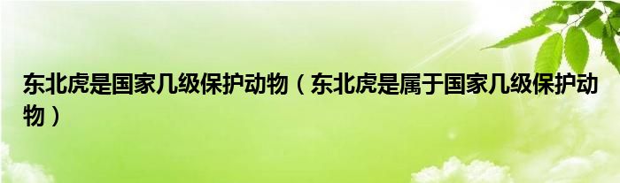 东北虎是国家几级保护动物（东北虎是属于国家几级保护动物）