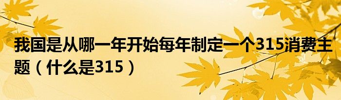 我国是从哪一年开始每年制定一个315消费主题（什么是315）