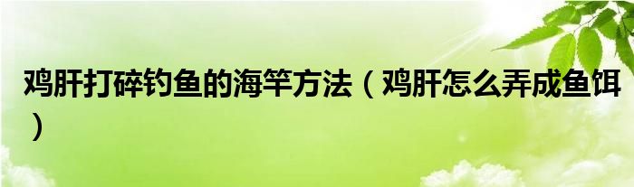 鸡肝打碎钓鱼的海竿方法（鸡肝怎么弄成鱼饵）