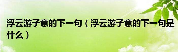 浮云游子意的下一句（浮云游子意的下一句是什么）