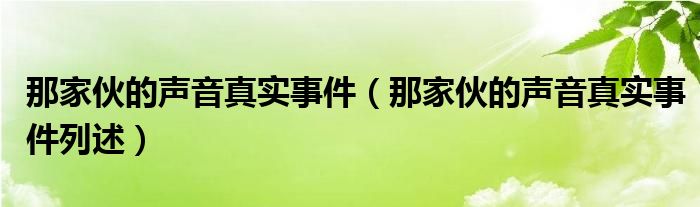 那家伙的声音真实事件（那家伙的声音真实事件列述）