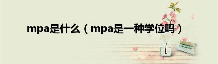 mpa是什么（mpa是一种学位吗）